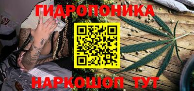 дурь Будённовск
