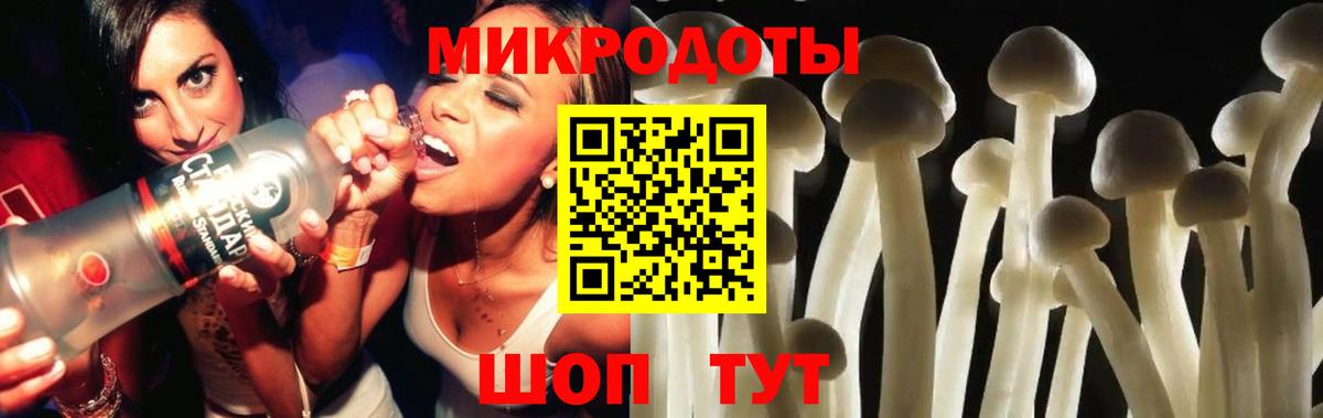 Псилоцибиновые грибы прущие грибы Тулун